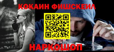 a pvp Камышлов