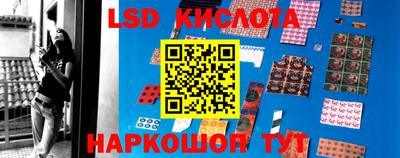 стаф Кинель
