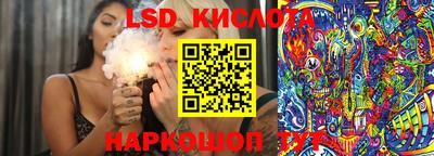a pvp Камышлов