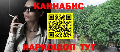 a pvp Камышлов