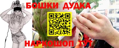 a pvp Камышлов