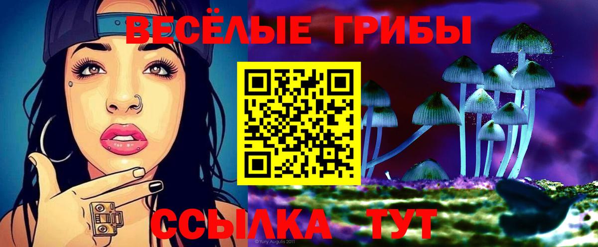 Псилоцибиновые грибы прущие грибы Красноармейск